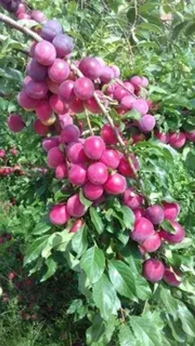 ebc55b4c-6245-465b-b9cc-044b1dc24521-i-2026-08-31t145913.440.webp