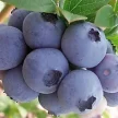 04862713-c0f8-46cc-be62-d84a4b48e589-i-2026-08-26t102642.199.webp