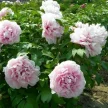52a218cc-36f6-4da6-bc56-ee256f6eb3f0-i-2026-08-12t120109.035.webp