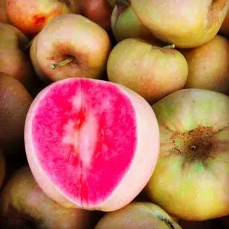 711a3356-6efb-4c2d-ac7d-83871ebdb5d5-i-2026-08-28t112733.144.webp