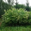 4ab9dca5-d845-44c6-b5e2-3db87039f44f-i-2026-08-11t132620.791.webp