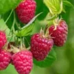 2234828c-63b4-4ad2-bb3c-0dbdded7e412-i-74.webp