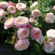 6f0a8a15-ca11-42f3-add2-90a9ce96fdcc-i-2026-08-12t133742.077.webp
