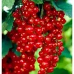 9d8bdd12-6a87-47fe-b3f3-bd803bc5cee4-i-2026-08-12t152750.294.webp