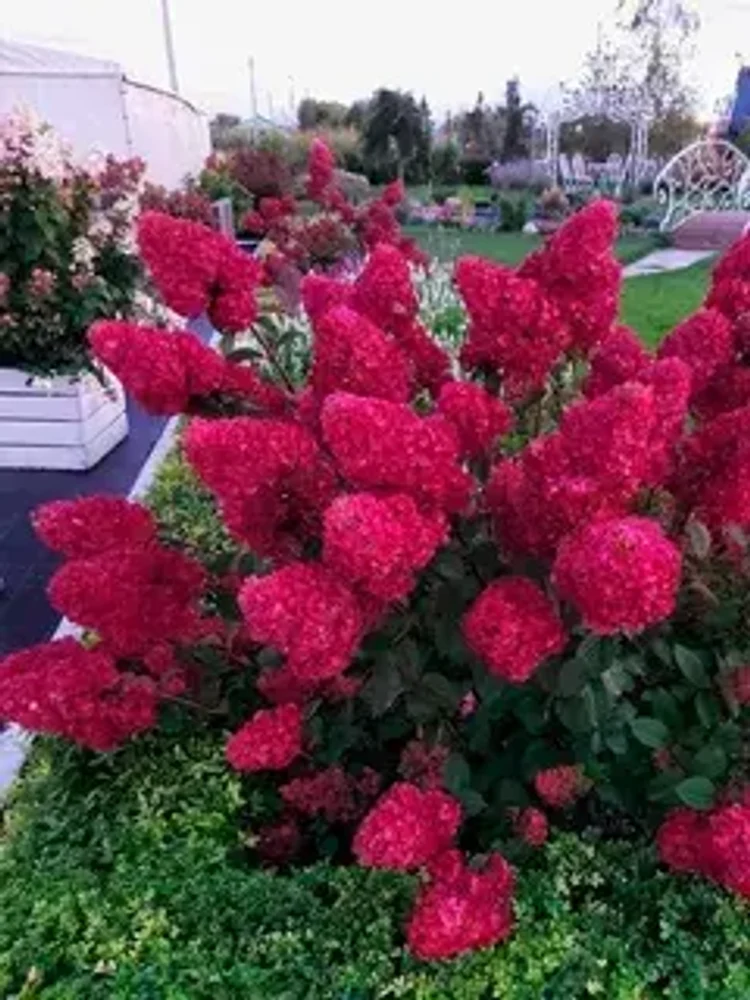 01b51dcf-c388-433c-b1a4-5bb37b3e0f01-i-2026-08-05t101604.191.webp