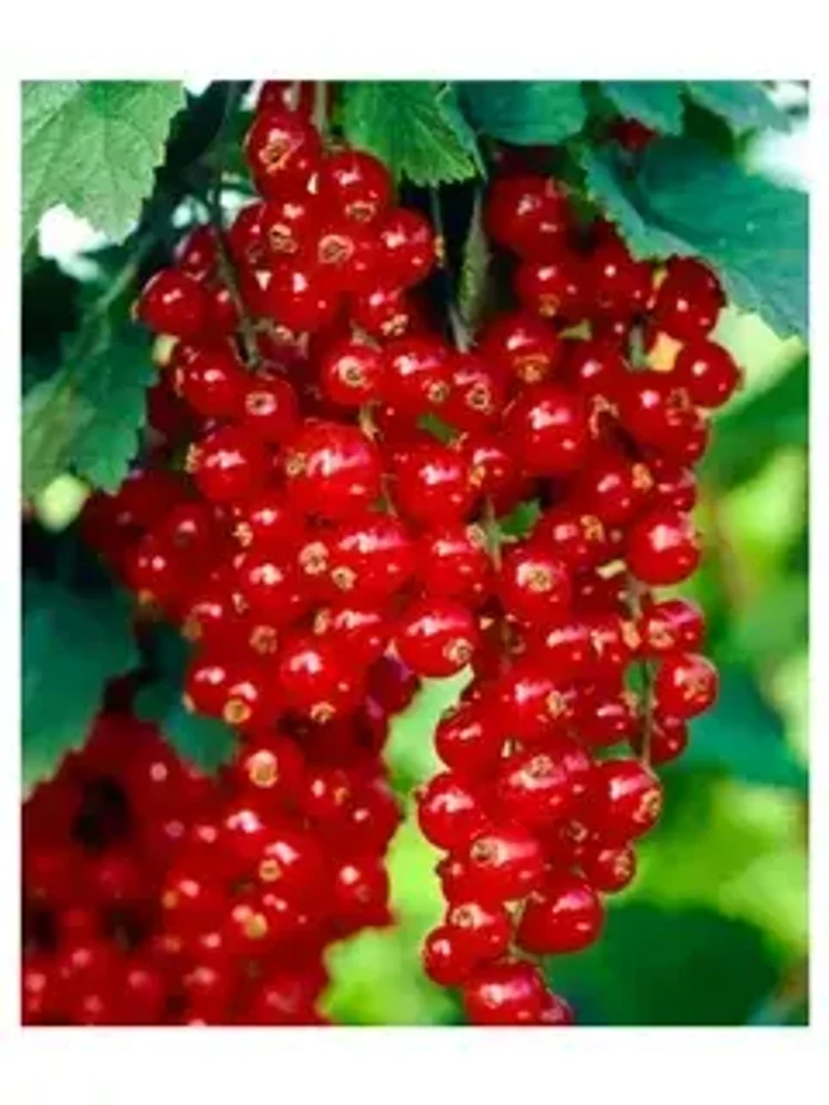 9d8bdd12-6a87-47fe-b3f3-bd803bc5cee4-i-2026-08-12t152750.294.webp
