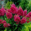 6f10d05a-e166-4cc3-8633-3ec7e06ca603-i-2026-08-05t135806.647.webp