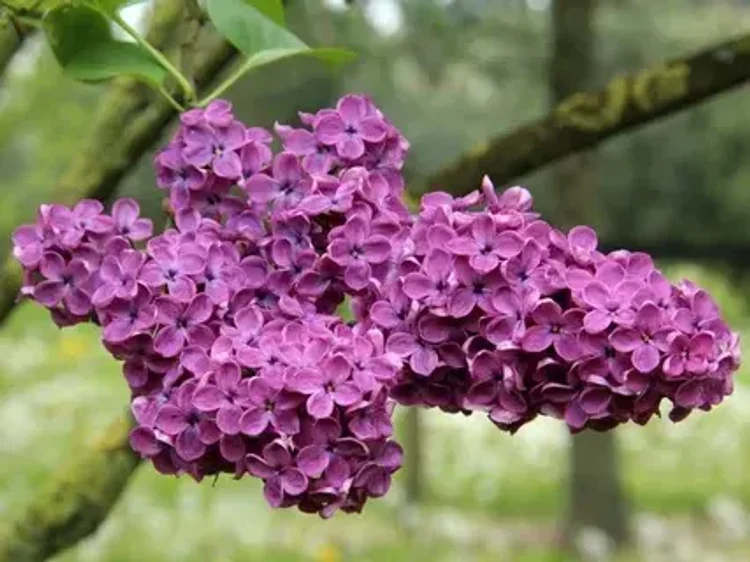 41542c4f-62dc-4348-8bfb-4c9ed99e2525-i-2026-08-10t144008.173.webp