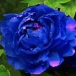 d49e882c-4642-42f0-a1c1-f86baf32fa38-i-2026-08-12t114555.626.webp