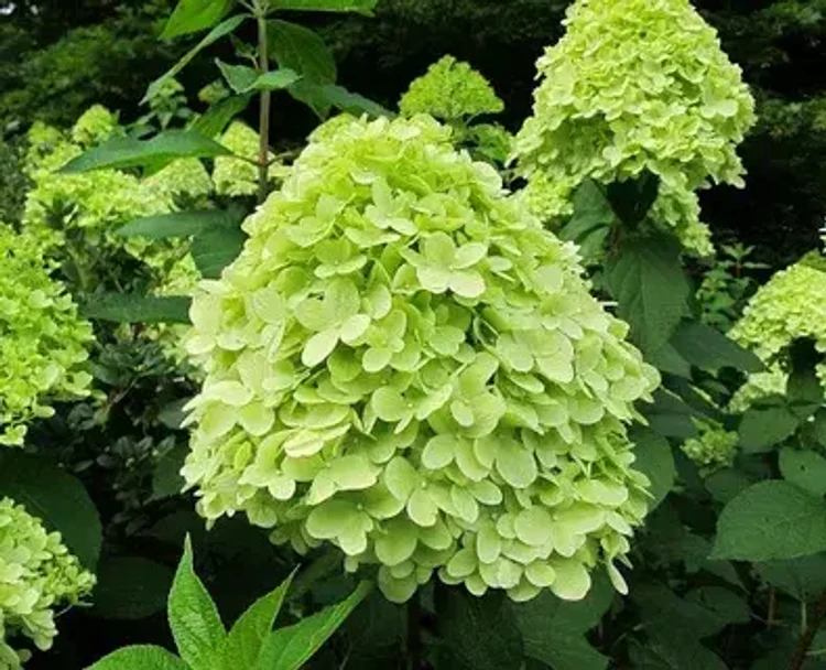 22d29085-16c7-449b-a772-e4d1bd5df9bc-i-2026-08-05t083828.926.webp