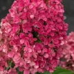 3d6d2645-8ee2-43bb-ae39-30a6c4f21409-i-2026-08-04t162814.571.webp