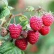 fdda3eba-b01a-4470-a099-3e30d89183e9-к.webp