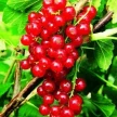 36d6b63e-a56f-40e1-9644-ca154988d96b-i-2026-08-12t151022.716.webp