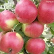 e9e2428c-67f6-4412-829c-3248e486db02-i-2026-09-08t105659.576.webp