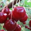 882e87b9-2b94-4c34-96e9-20198ec3c22d-i-2026-09-07t113954.656.webp