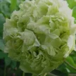 235c92b8-7d16-48cc-b9f6-80076e09bc53-i-2026-08-12t114959.184.webp