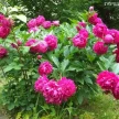 2abee66f-ee55-4982-885c-895f7a76a19d-i-2026-08-12t110502.159.webp