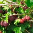 2e737e61-9ce5-4589-894c-65769396c25a-i-34.webp