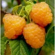 eb698b27-34c2-4c0a-a8b9-a7d52ea87dc0-йй.webp
