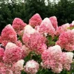752f3f61-dd13-4f47-8c80-3116b8f7f7dd-i-2026-08-04t113627.001.webp