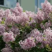 80c77522-e3e3-46a8-bc73-7e56468a2454-i-2026-08-07t152235.761.webp