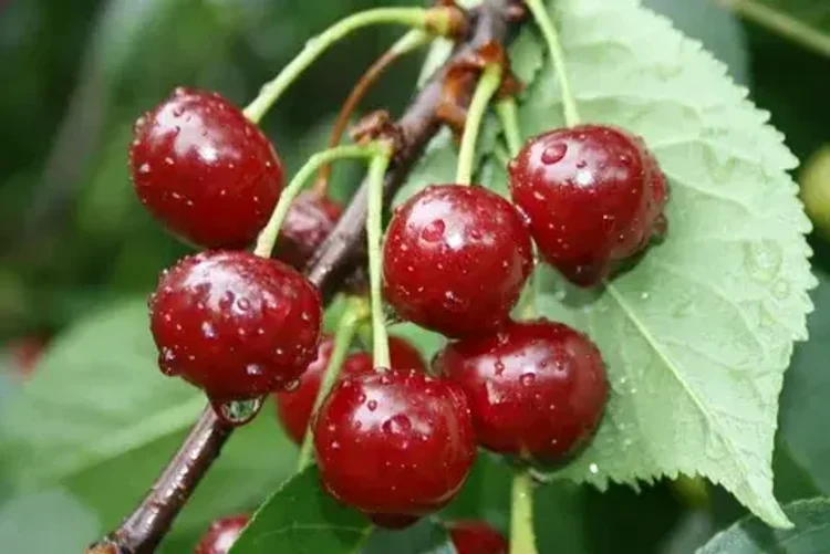 b4859615-a912-4d48-94c5-876876f042d5-i-2026-09-07t112017.226.webp