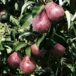 c60402c0-737b-4c35-9217-5e72259847e7-i-2026-09-08t114026.035.webp