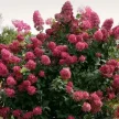 2207498c-b1f6-4b2c-b285-7e0e43d7181d-i-2026-08-05t135815.981.webp