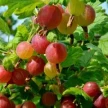 f65d51ed-eeb8-488d-af76-554c5f5973c8-i-24.webp
