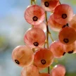 f0031045-cf9c-4e5f-9b6a-9da6a2f95201-i-2026-08-13t121232.535.webp