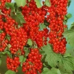 33460f53-d8c2-446c-b037-9b3d93c19306-i-2026-08-12t154623.447.webp