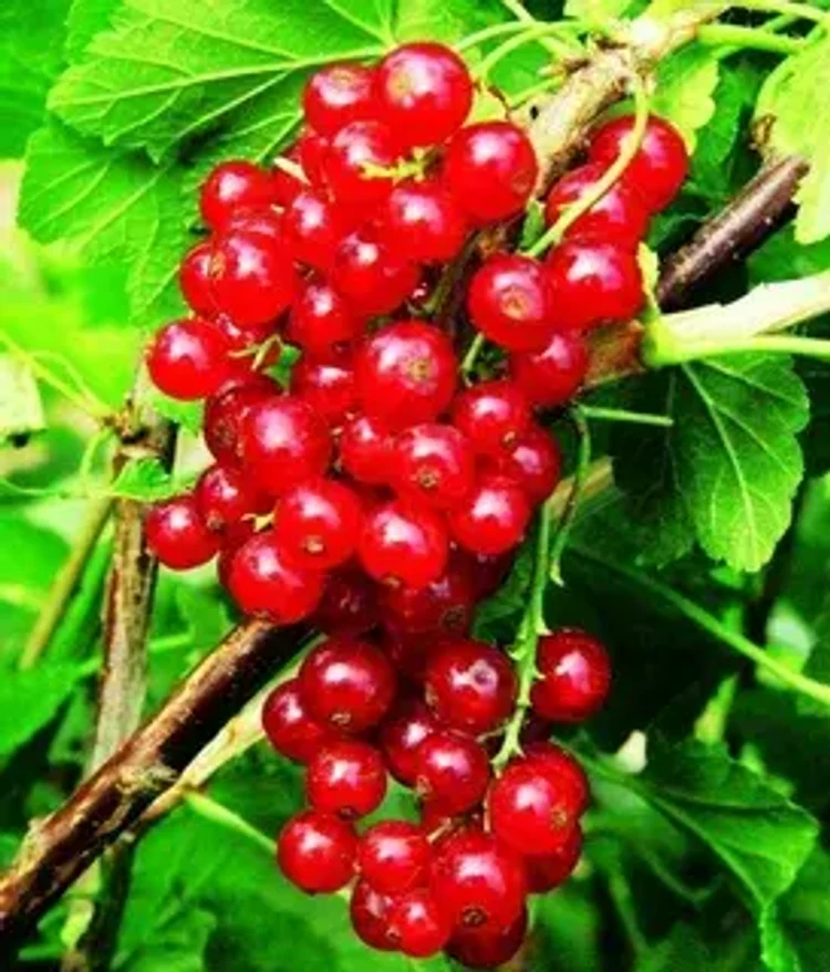 36d6b63e-a56f-40e1-9644-ca154988d96b-i-2026-08-12t151022.716.webp