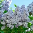 75f5a01c-d135-41d1-b79d-c6dbfea0de51-i-2026-08-06t145951.712.webp