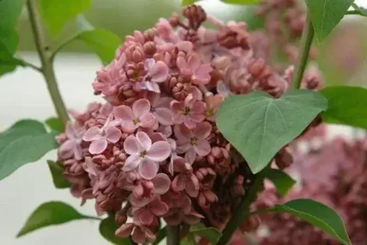 4785bd15-0059-49f4-bf86-c488b08cc624-i-2026-08-06t144005.470.webp