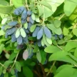 27d49b18-733f-480d-a1e9-bb5fdd176b8e-i-2026-08-18t132251.039.webp