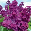 73f7072e-6ac0-49eb-a765-d6c27b294364-i-2026-08-06t110921.609.webp