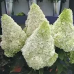 038ce699-3d36-4703-81f6-5e90737b46e1-i-2026-08-05t100632.389.webp