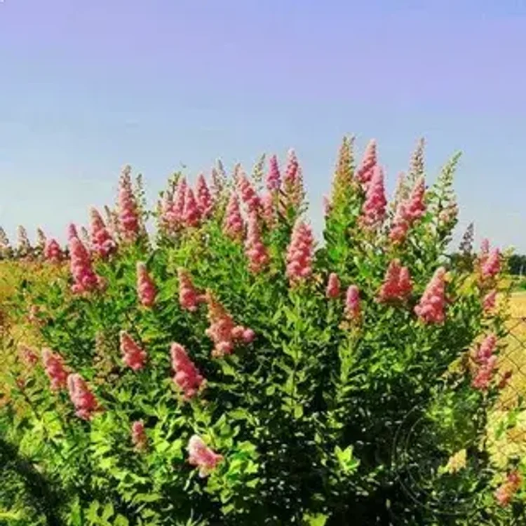 f02268db-bb90-4c89-9ee3-76ffdfc1cf3c-i-2026-08-11t133528.185.webp