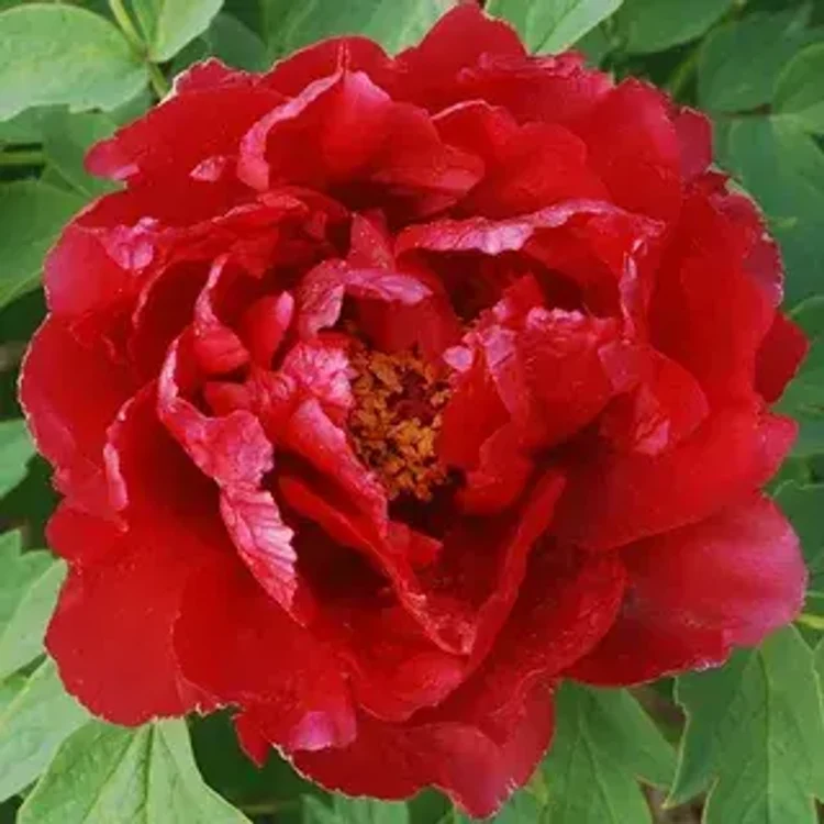 517ea19e-729e-4f6c-89a3-30618dcbcbae-i-2026-08-12t111434.433.webp