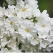 13933db9-2a8a-4e01-ad98-c7a455dca5ae-i-2026-08-10t145613.743.webp