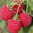 5e90f0ca-40c7-4cd6-ab69-10e1b046cd3d-i-2026-08-11t143843.619.webp