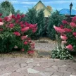 eca4eee7-0b4c-40d5-aaa4-f75152440174-i-2026-08-05t150505.990.webp