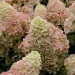 8e93b6f6-043a-4bbc-a97d-96c331787ffc-i-2026-08-03t153209.101.webp