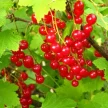 02eb3fd8-ca5f-4338-a4bd-470bf4420b99-i-2026-08-12t151014.838.webp