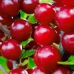 921425e3-aa87-4b64-9976-ad49e77872d2-i-2026-09-08t104435.999.webp