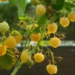 a7d01729-48cc-431d-93cb-4e6080e9cc67-у.webp