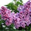 c7fb082d-0da8-4336-b514-455dfb58fe34-i-2026-08-06t123810.101.webp