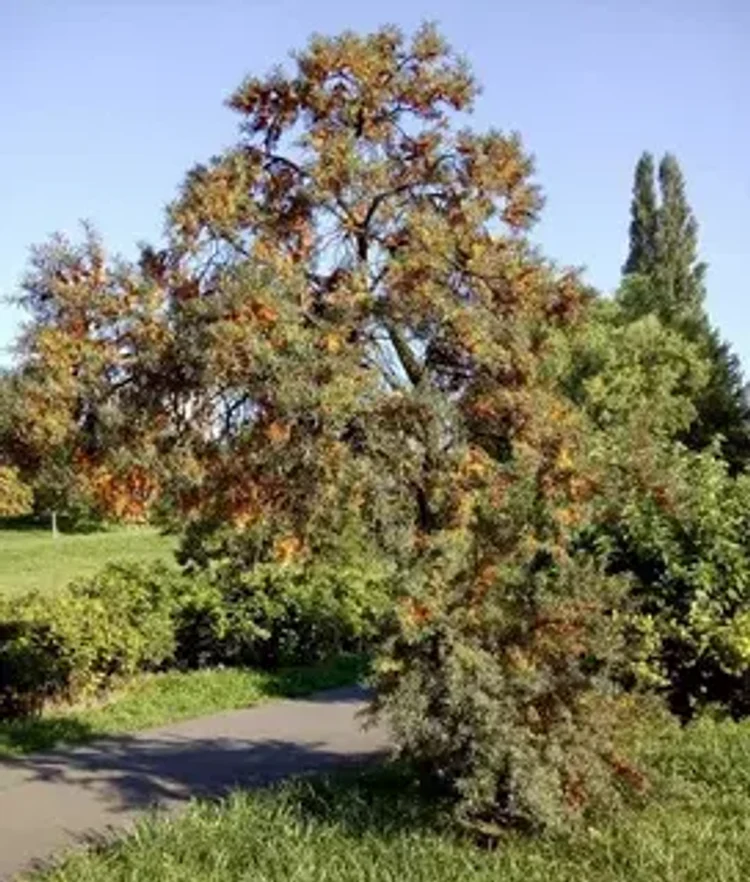37335993-ae99-4d6d-8281-843dcf5a5210-i-2026-08-26t111628.045.webp