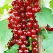 87dfd362-c1fd-4b06-9d0b-a3e7a4bec98d-i-2026-08-12t152753.977.webp