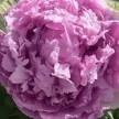 2c0d2058-4959-482f-be7d-974075add00e-i-2026-08-12t114049.646.webp